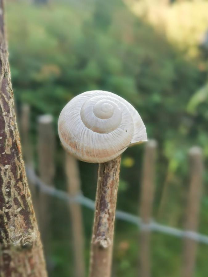 Smittshoern 3 - Nordsee Erdgeschosswohnung Mit Eingezaeunten Garten, Kamin Und Lounge! Altfunnixsiel Dış mekan fotoğraf